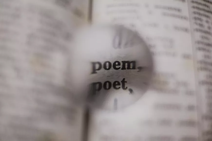 42._a_night_of_too_many_poets_photo_by_nothing_ahead_via_pexels.webp