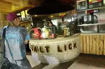 Image: ABIA: The Salt Lick