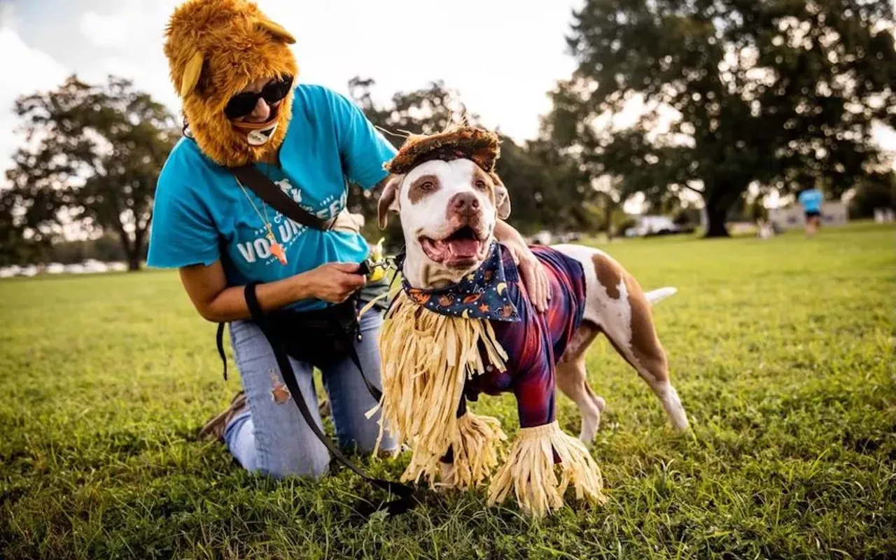 Image: Adoptoberfest
