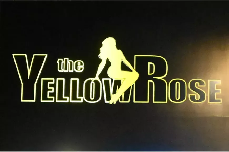 NL_YellowRose_ZB.jpg