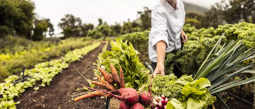 1._all_things_food_summit_getty.webp