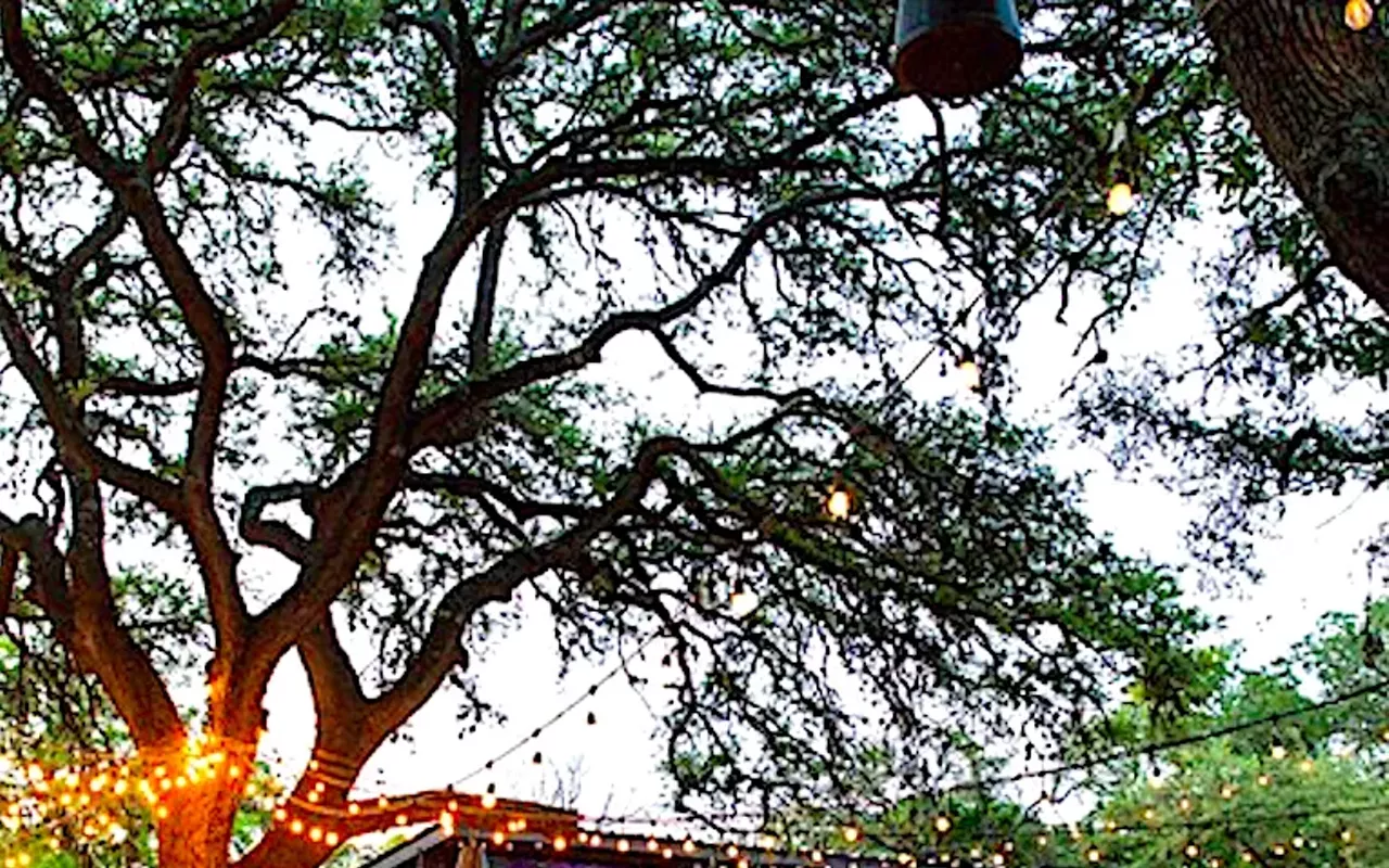 Image: Armadillo Den: Second Anniversary Bash