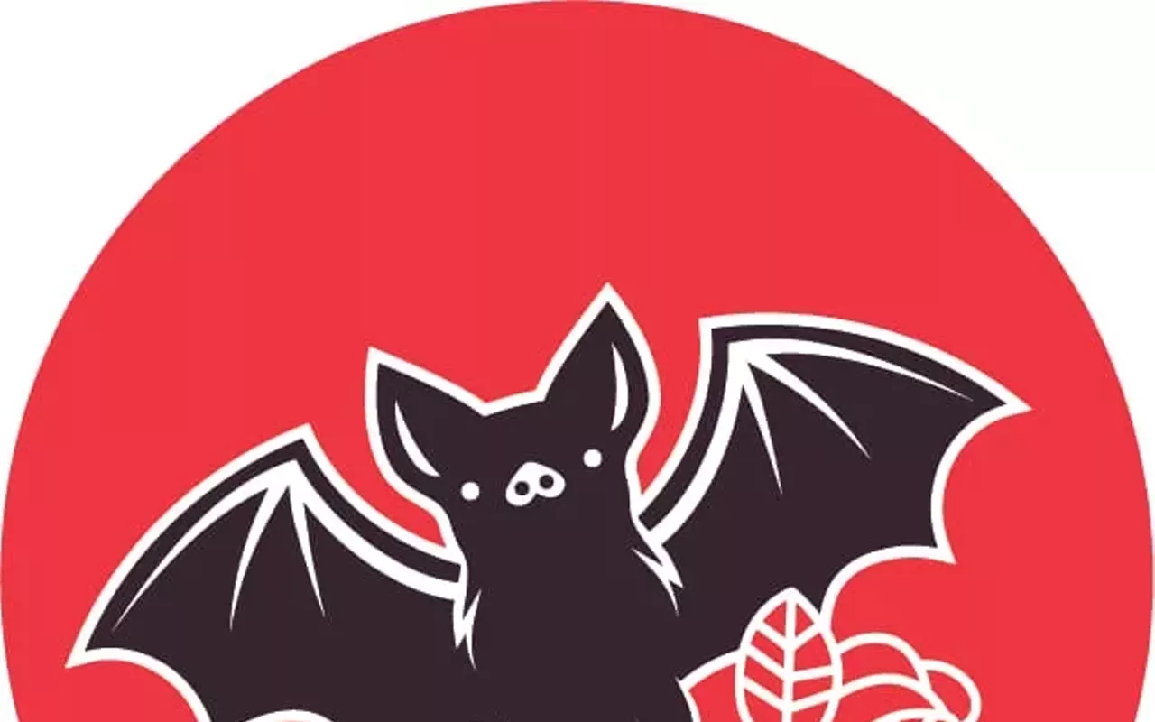 Image: Austin DSA Organizing Fair