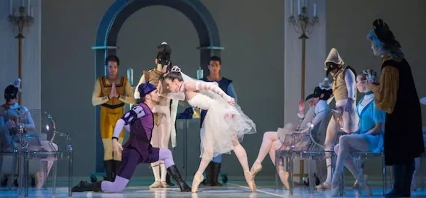 licensable-work-taming-of-the-shrew-banner-3000x1400.webp
