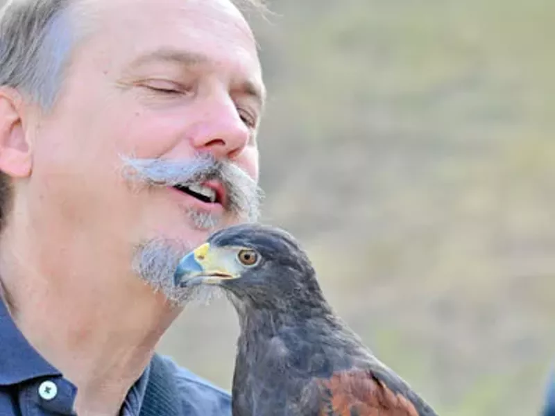 Image: Best Badass Way to Deter Grackles