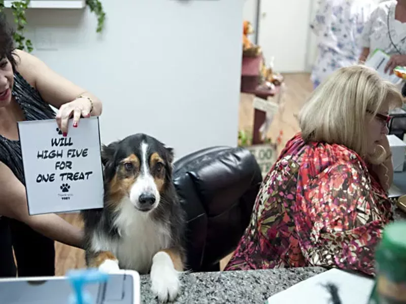 Image: Best Canine Dental Office Receptionist