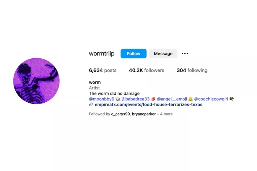 POLS_wormtriip_viaIG.jpg