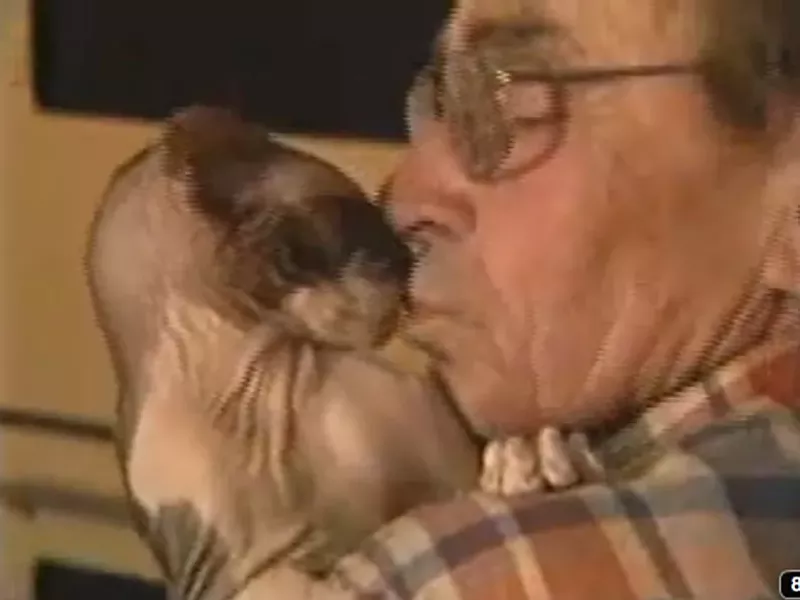 Image: Best Retired Plumber With Some Claims to Fame