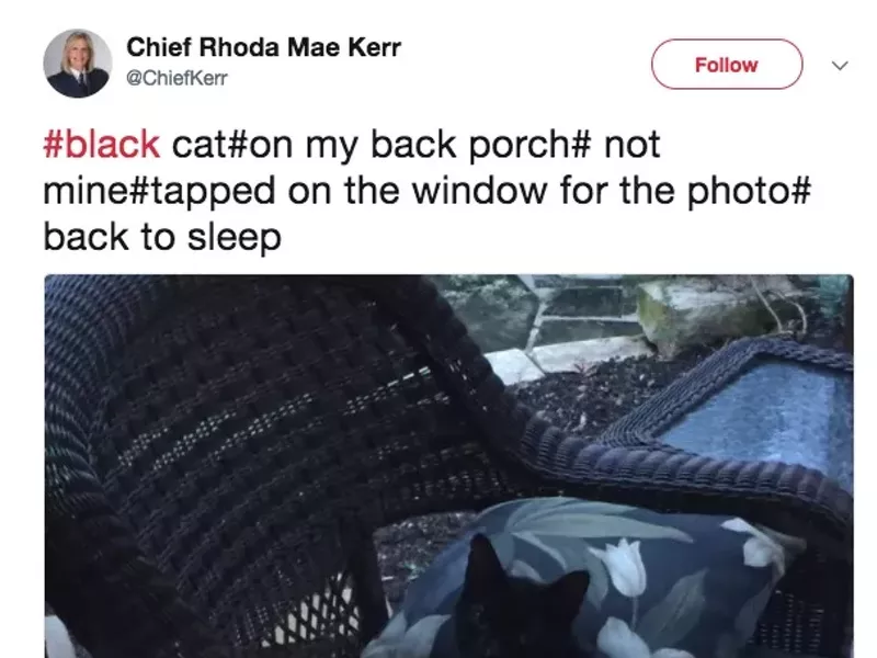 Image: Best Twitter Account Run by a Public Official