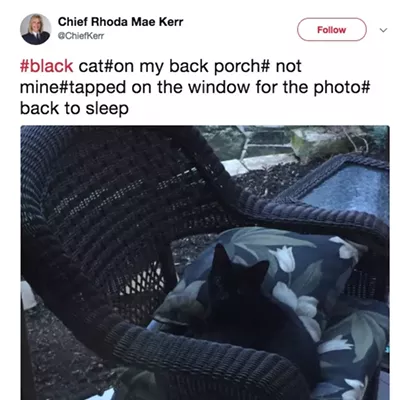 Image: Best Twitter Account Run by a Public Official