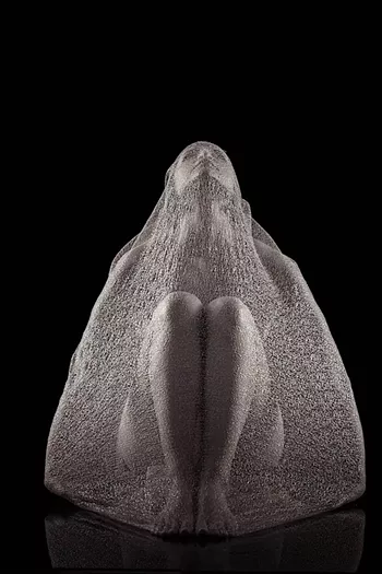 Image: BLiPSWiTCH: Insecta: A Short Stop at the Long Time