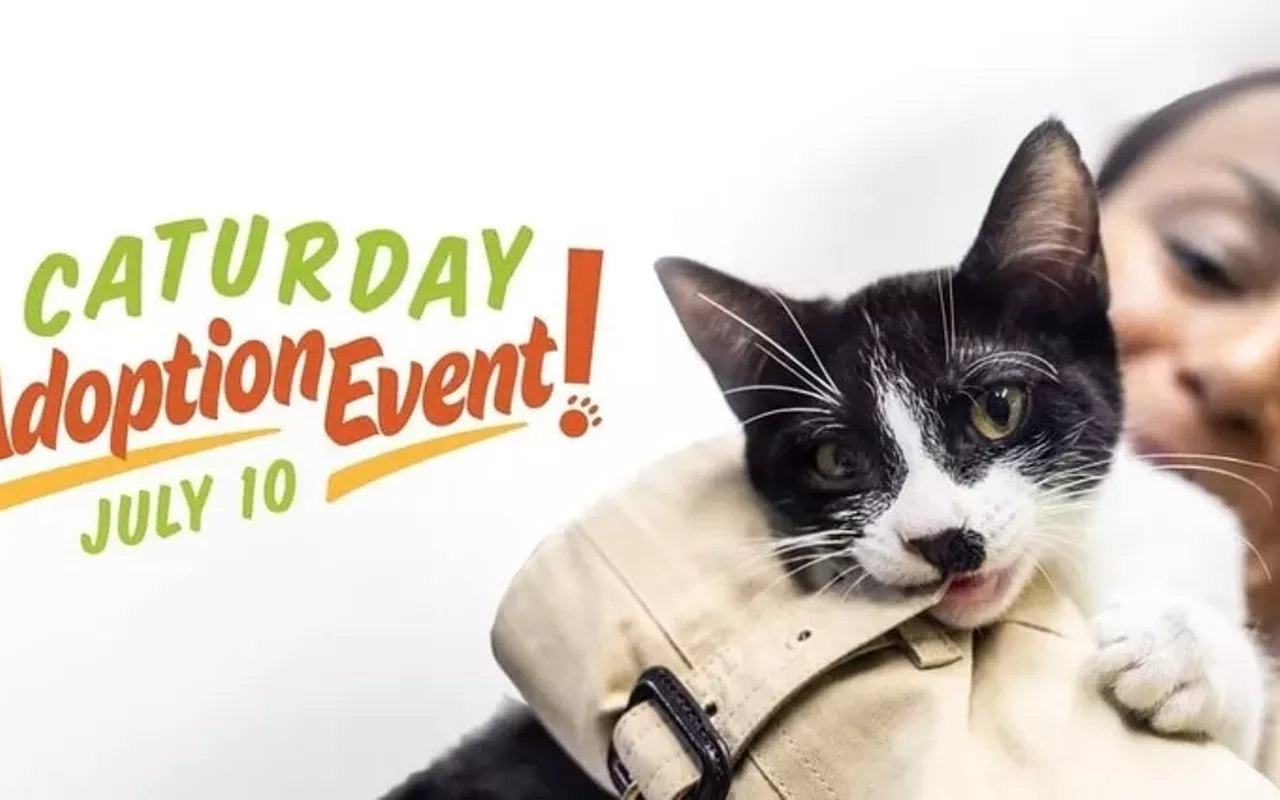 Image: Caturday Adoption Event