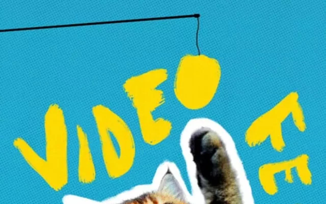 Image: CatVideoFest