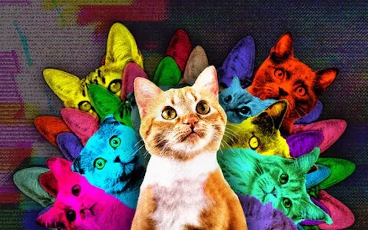 Image: CatVideoFest