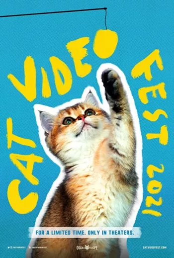 Image: CatVideoFest