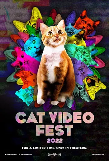 Image: CatVideoFest