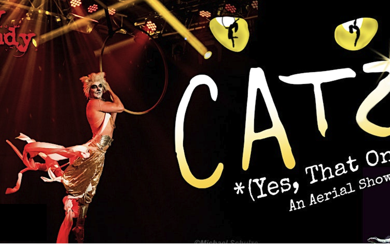 Image: Catz