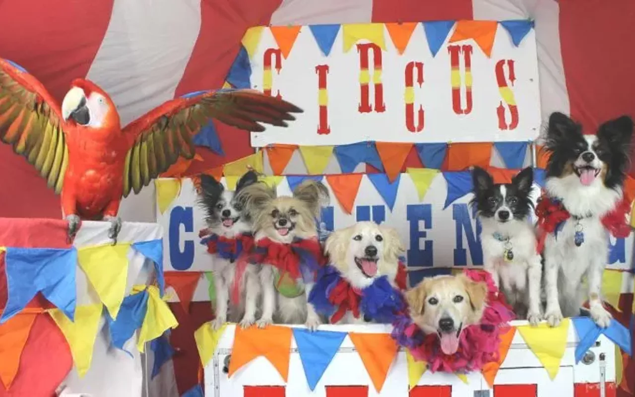 Image: Circus Chickendog