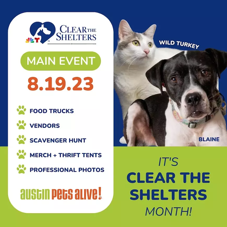 cleartheshelters-2.webp