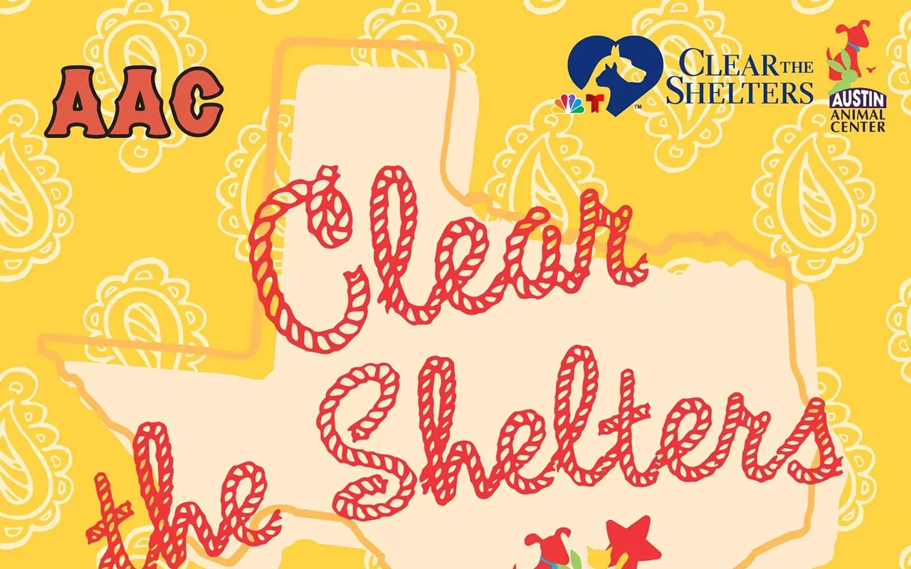 Image: Clear the Shelters