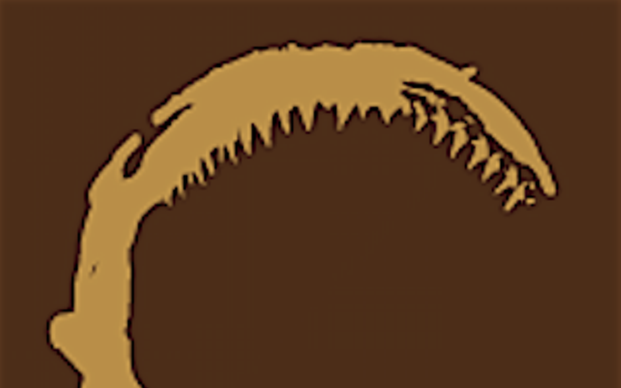 Image: Coffee Shark