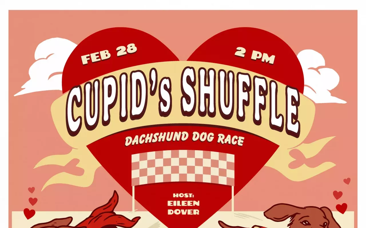 Image: Cupid's Shuffle: A Dachshund Dog Race