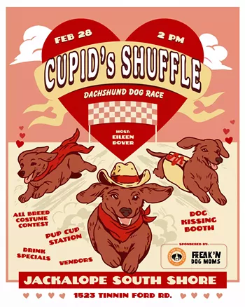 Image: Cupid's Shuffle: A Dachshund Dog Race