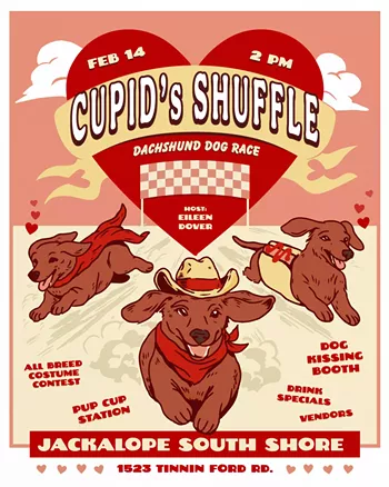 Image: Cupid's Shuffle: Dachshund Dog Race
