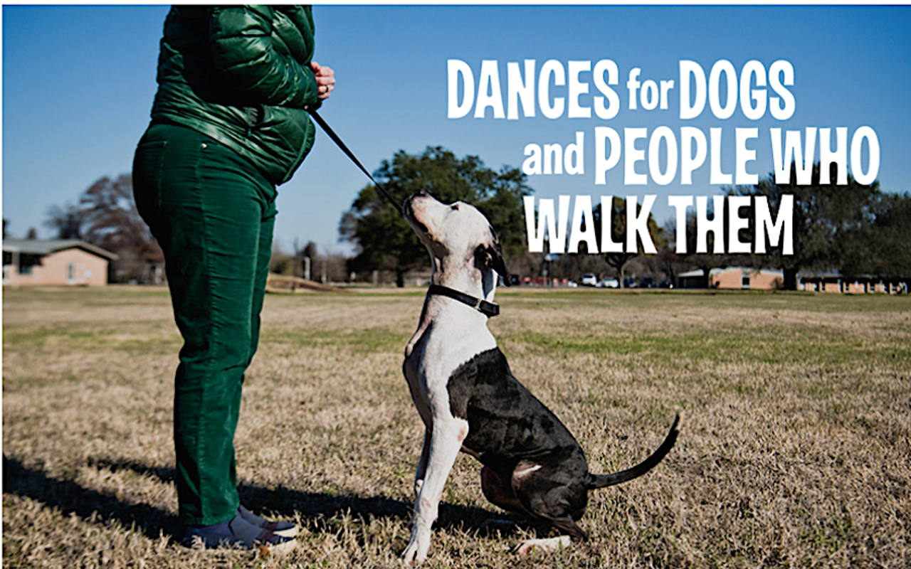 Image: Dances for Dogs and People Who Walk Them
