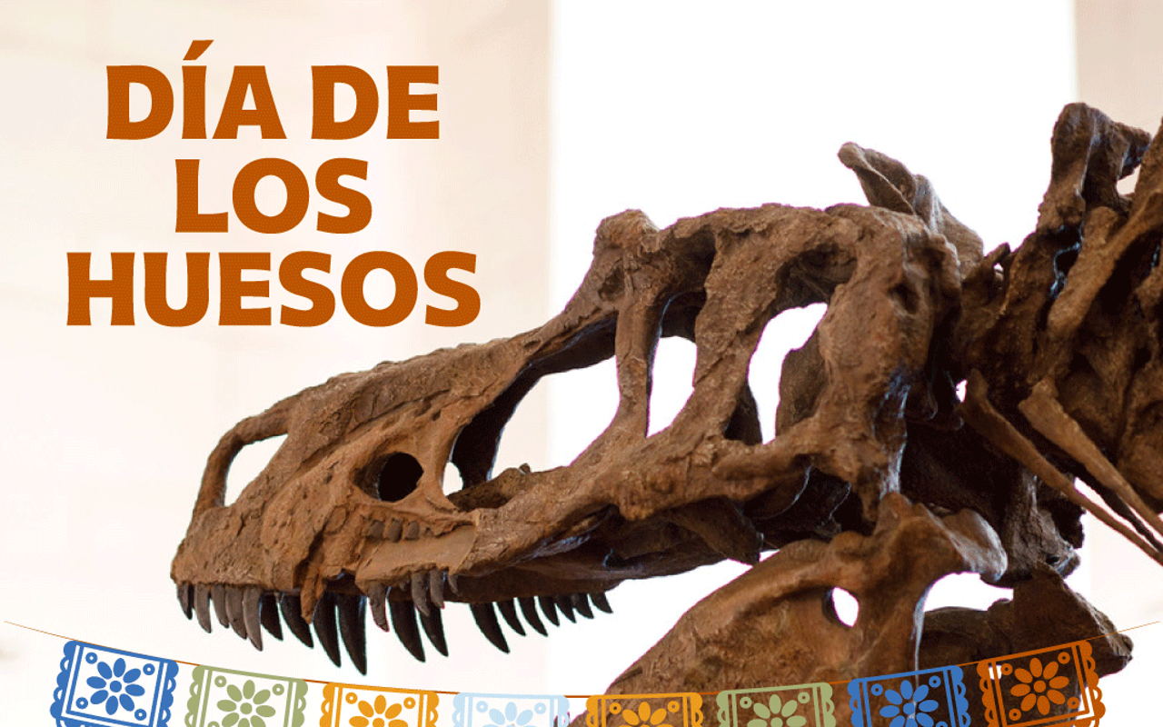Image: D&iacute;a de los Huesos (Day of the Bones)