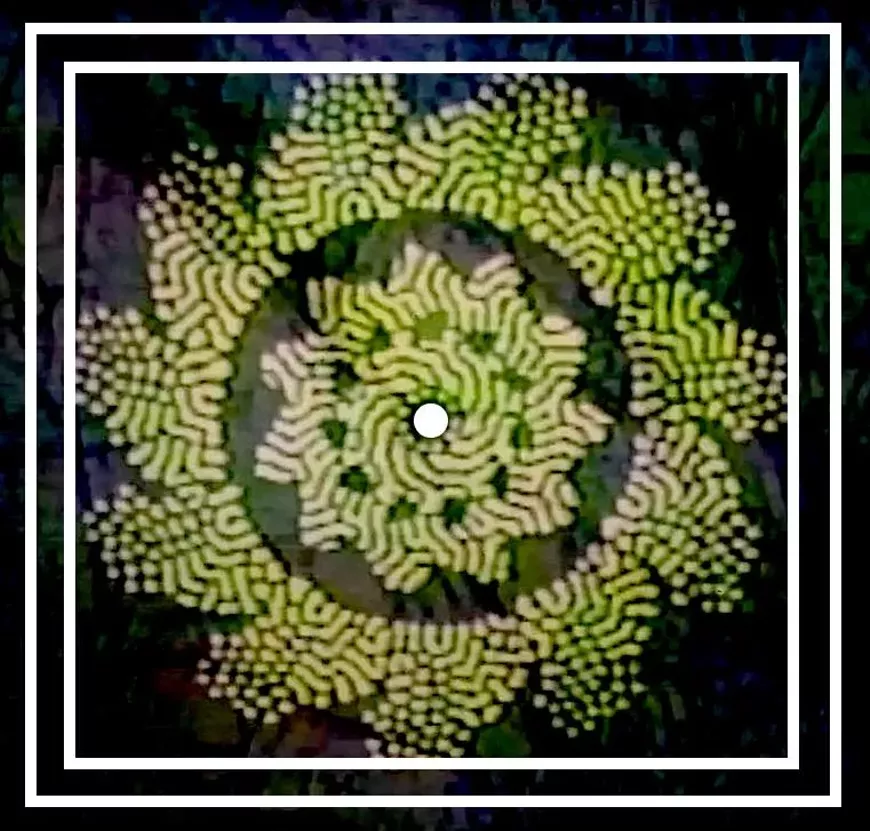 277803452_1422717684830365_8766653028457173047_n.webp