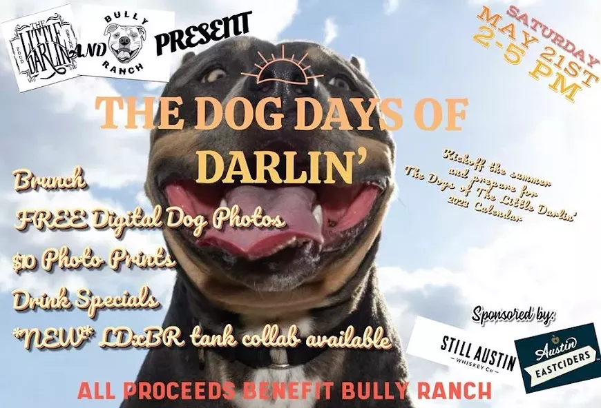 dogdays.webp