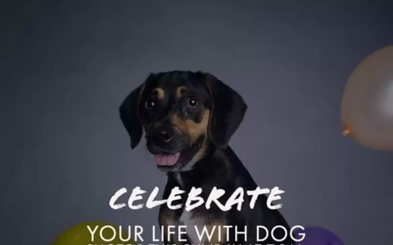 Image: Dog Days of Summer Pup-Up Studio