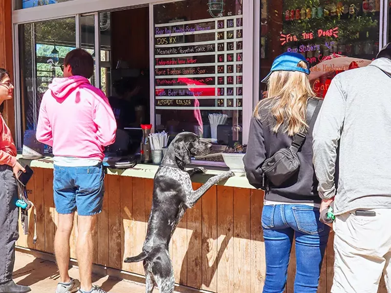 Image: Dog-Friendly Space