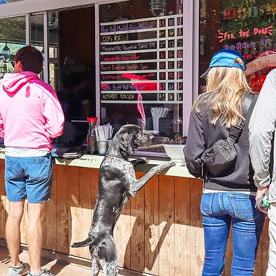 Image: Dog-Friendly Space