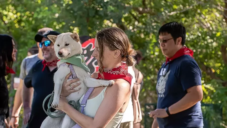 shibainusparade.webp