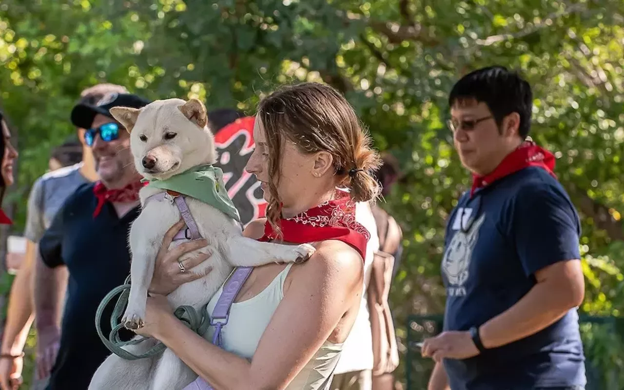 Image: DOGE ATX Parade: A Parade of Shiba Inus
