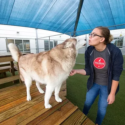 Image: Doggie Day Care