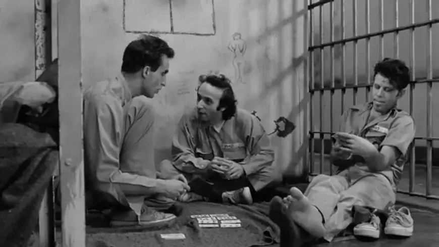 31._down_by_law_film_still.webp