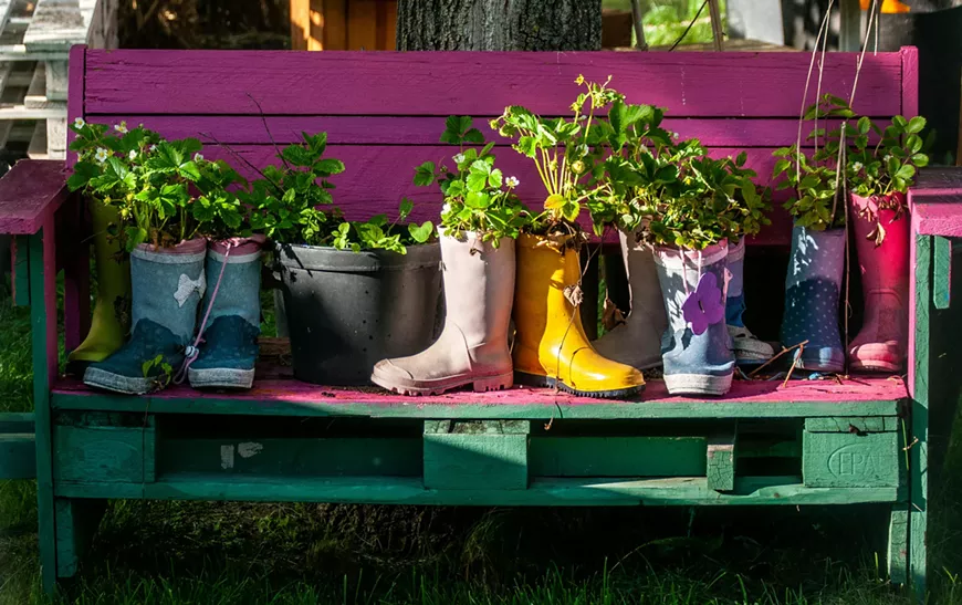 16._earth_month_zero_waste_fest_photo_by_wal_172619_via_pexels.webp