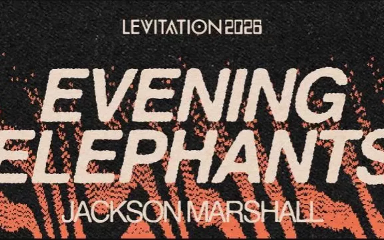 Image: EVENING ELEPHANTS &bull; JACKSON MARSHALL