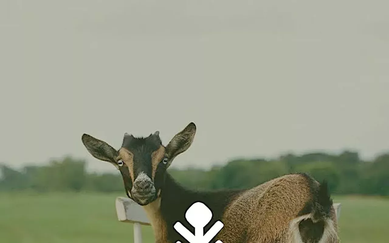 Image: Field Guide Festival