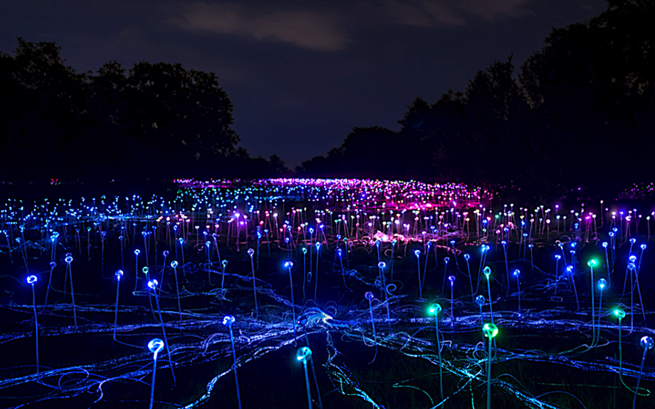 Image: Field of Light: Veterans and Active Military Night