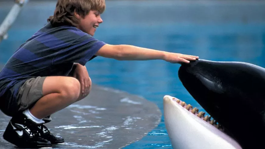 free_willy_-_screen.webp