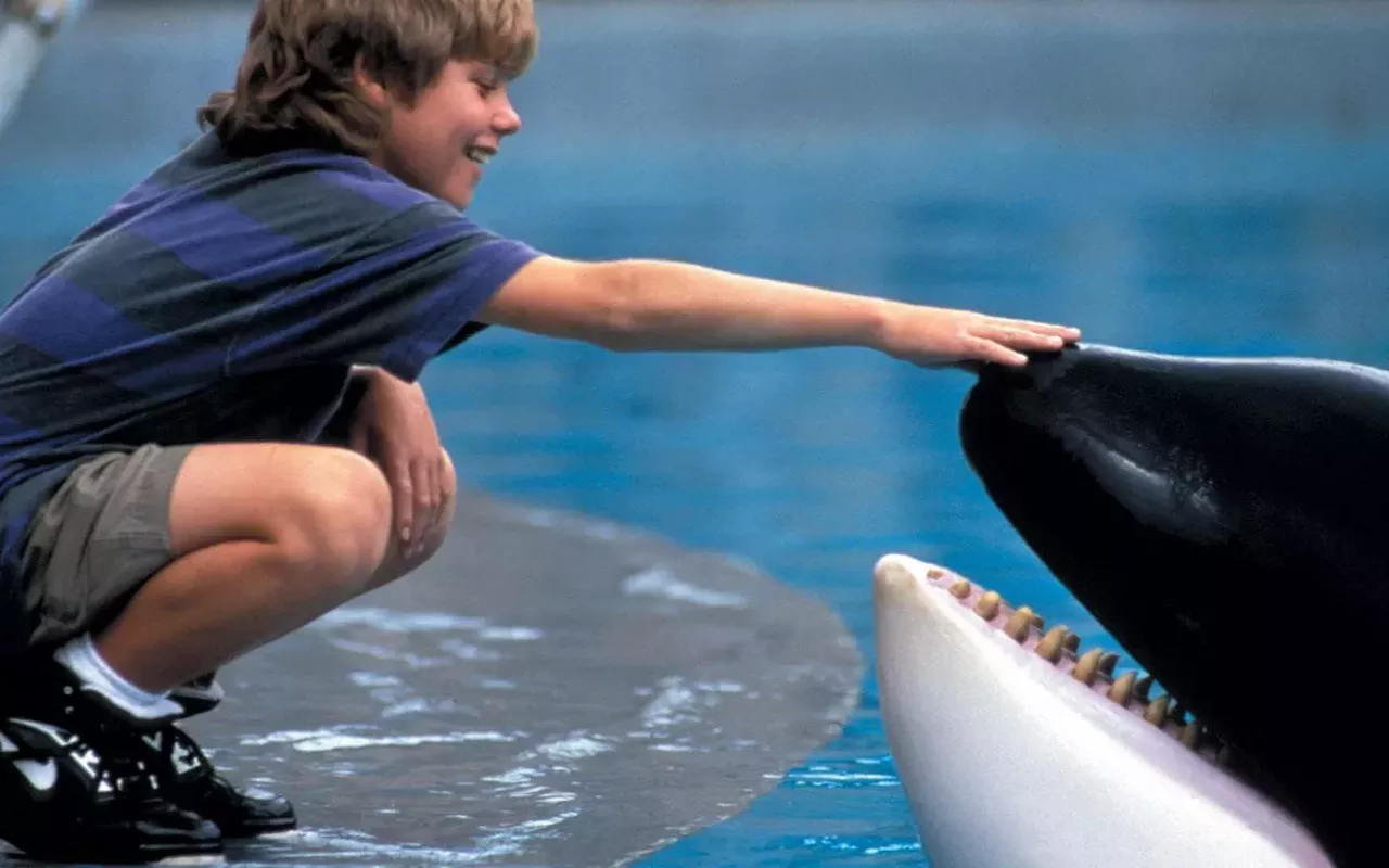 Image: Free Willy