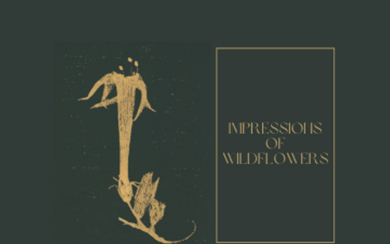 Image: Georgetown Art Center Presents New Exhibit, Impressions of Wildflowers