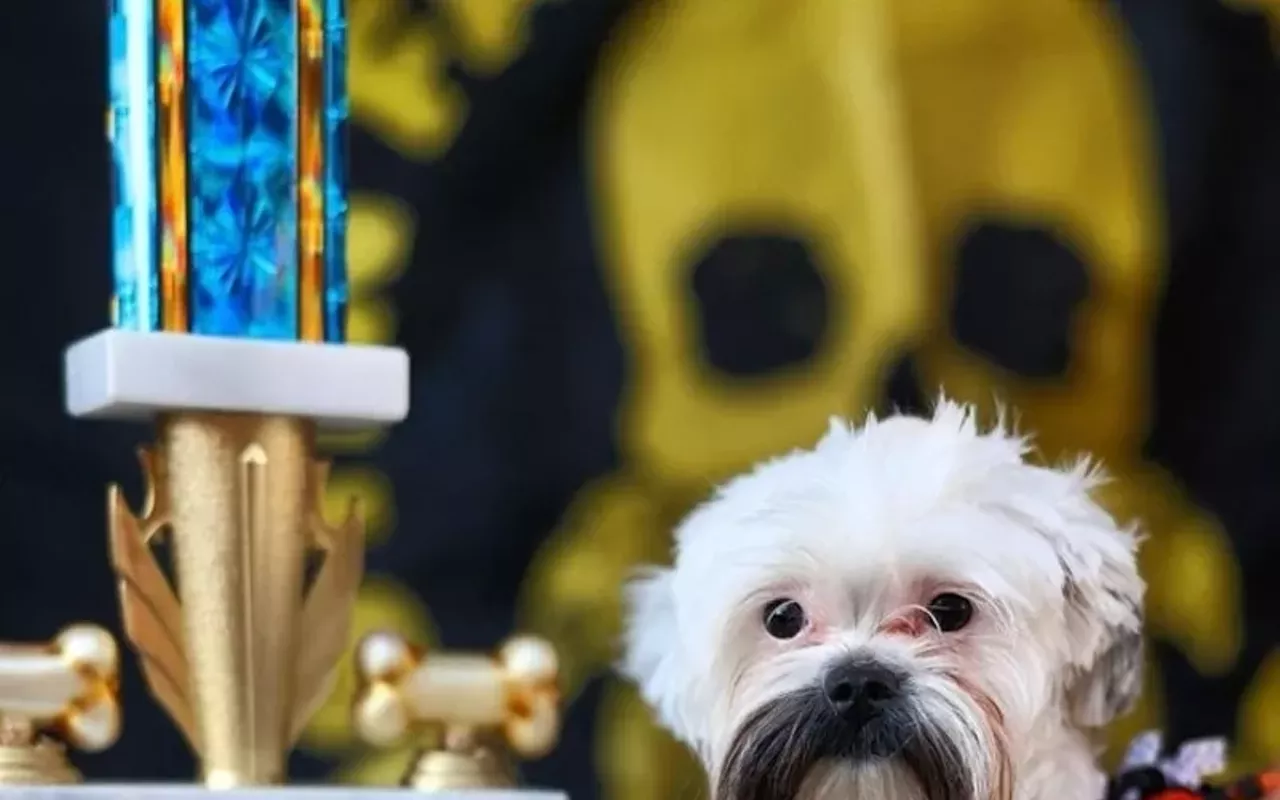 Image: Hair of the Dog Day