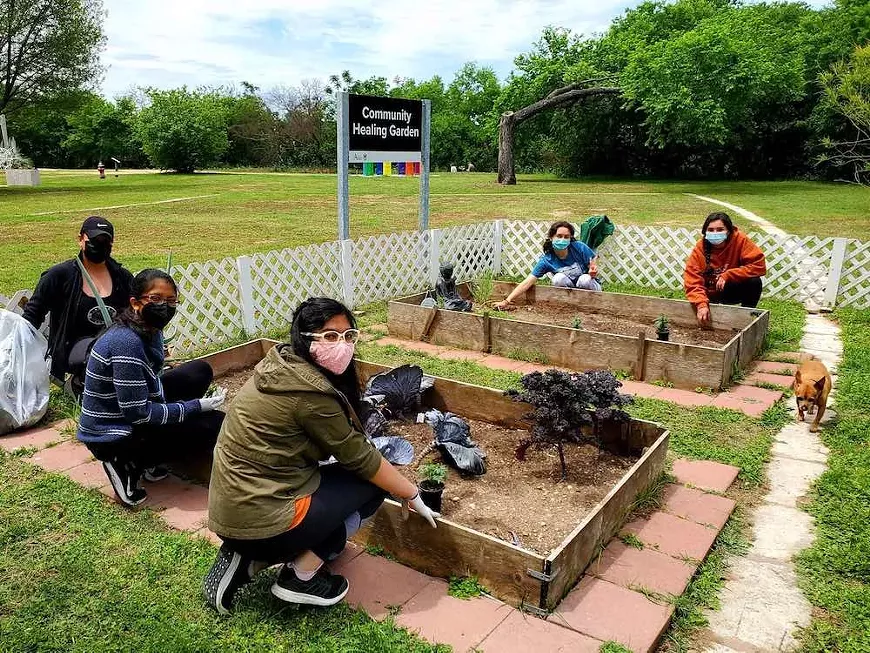 garden_pica.webp