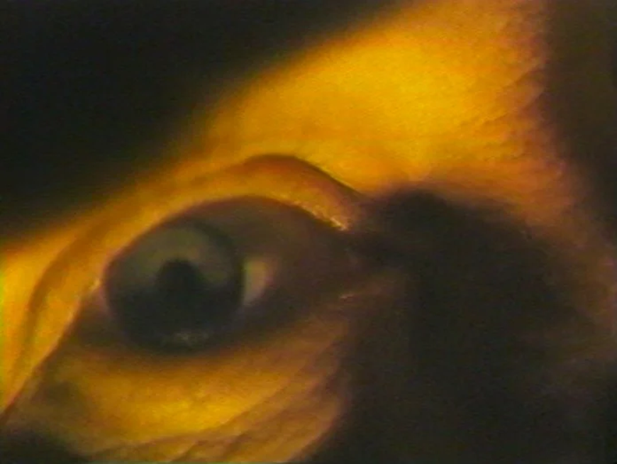 30._highway_hypnosis_film_still_1.png