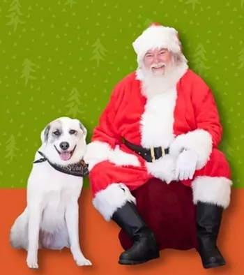 Image: Holiday Pet Photos